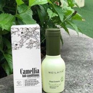 Dầu dưỡng tóc hoa trà Camelia Weilaiya
