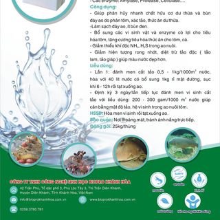 Cung cấp enzyme tổng hợp xử lý đáy ao tôm nhập từ Mỹ