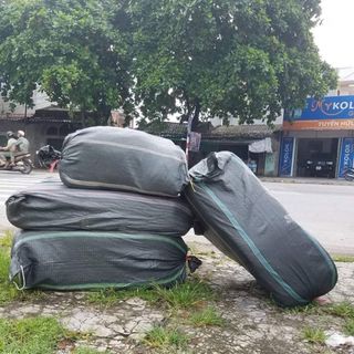 Len quảng châu cao cấp