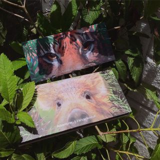 Bảng phấn mắt 12 ô MEZZE Adventurer Eyeshadow Palette MEZZE nội địa Trung MZ-4333 - SHOPTIDO