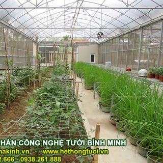 Cách làm nhà lưới đơn giả ự làm nhà lưới cách làm nhà lưới nhà lưới mini