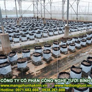 Cách làm nhà lưới đơn giả ự làm nhà lưới cách làm nhà lưới nhà lưới mini