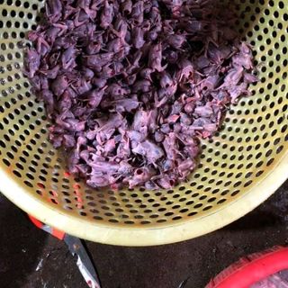 én thịt
