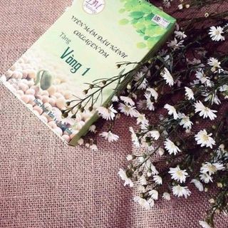 Mầm Đậu Nàng DM