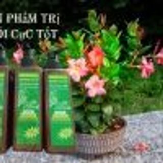 dầu gội Cao cấp trị hói và rụng tóc