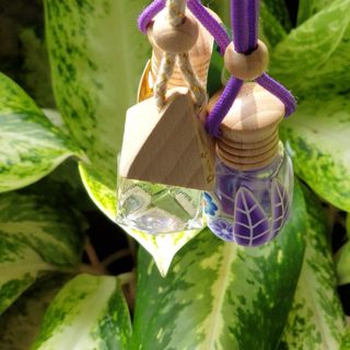 Tinh dầu Ngọc lan tây Lee’s Home/ Ylang Ylang Essential Oil