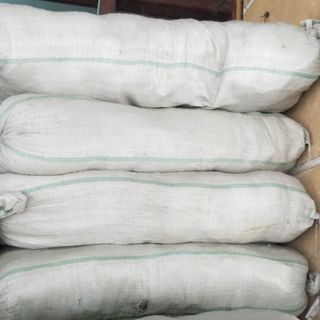 Tất gấu 1 bịch 10 đôi