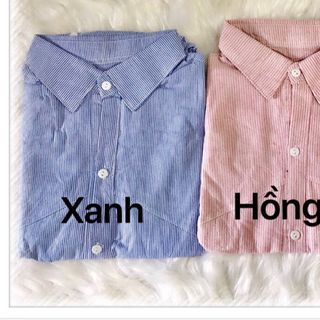 ÁO BẦU ÁO SƠ MI BẦU CÔNG SỞ
