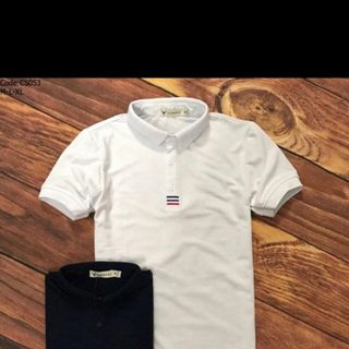 Áo thun nam cổ bẻ