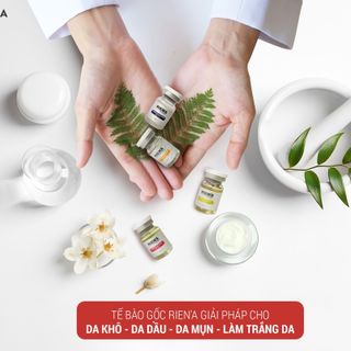 tế bào gốc trị mụn trị thâm mụn làm trắng sáng da riena - riena hàn quốc
