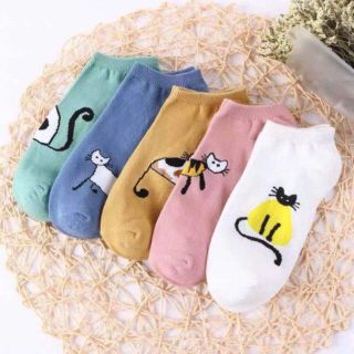 Combo 10 Đôi Tất Mèo Cổ Ngắn