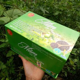 Mầm Đậu Nành Hạt Chia
