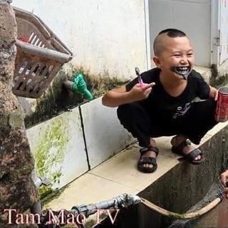 Bột Than Tre Hoạt TÍnh Làm Trắng Răng Zenpali