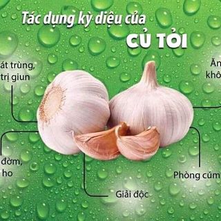 Dầu Tỏi Diệp Chi Gonl