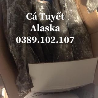 CÁ TUYẾT - BLACK COD