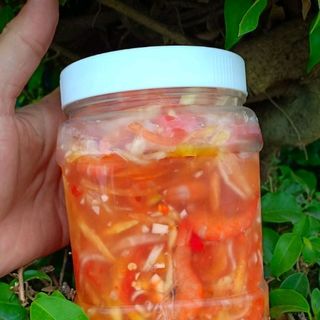 mắm tôm nhà làm