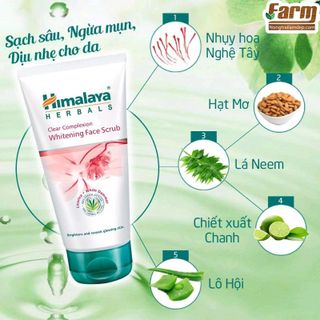 Tẩy tế bào chết Nhụy hoa nghệ tây Himalaya Herbals