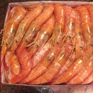 TÔM ĐỎ ARGENTINA - TÔM SASHIMI