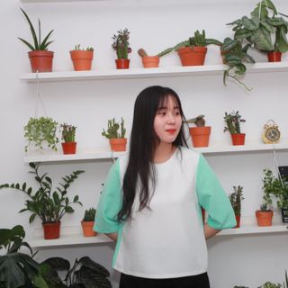 Áo basic phối màu BASIC SHIRT MIX COLOUR