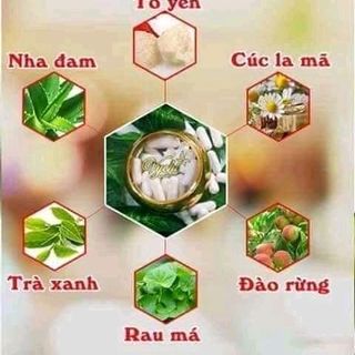 nạ yến vychi