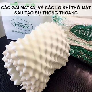 gối cao su non cao cấp ventry thái lan
