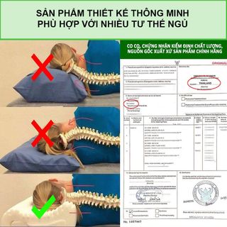 gối cao su non cao cấp ventry thái lan