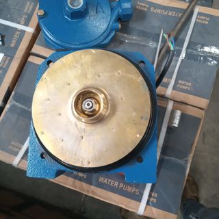 máy bơm nước giá rẻ máy bơm nước trung quốc EWARA CM 100 cánh đồng