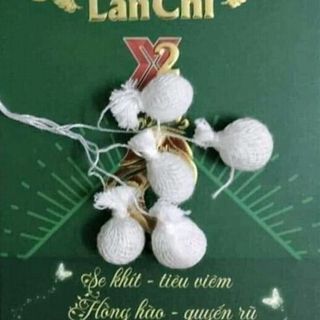 hồng âm lan chi x2