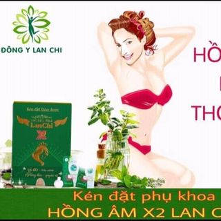 hồng âm lan chi x2