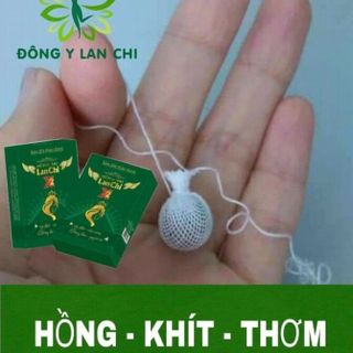 hồng âm lan chi x2