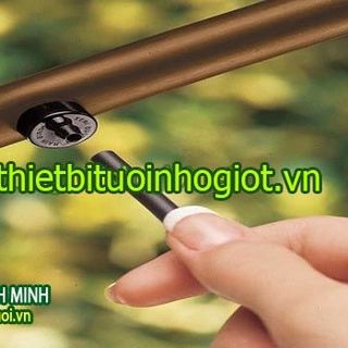 Nhà và phân phối độc quyền hệ thống tưới nhỏ giọt Tây Ban Nha