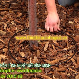 Nhà và phân phối độc quyền hệ thống tưới nhỏ giọt Tây Ban Nha