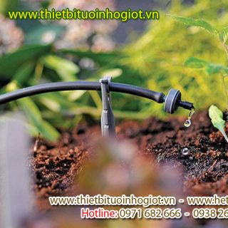 Nhà và phân phối độc quyền hệ thống tưới nhỏ giọt Tây Ban Nha