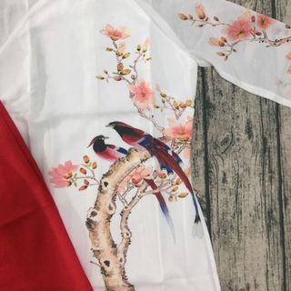 Set áo dài voan trắng quần đỏ truyền thống