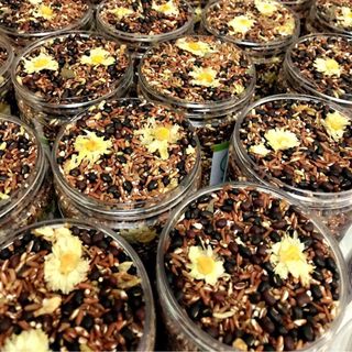 TRÀ GẠO LỨT ĐẬU ĐEN XANH LÒNG NGÔ MÍCH