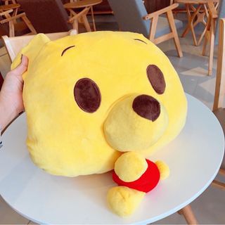 Gối ôm kèm mềm