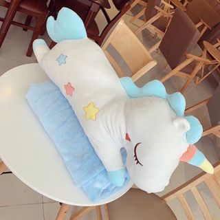 Gối ôm kèm mềm