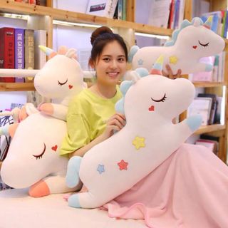 Gối ôm kèm mềm