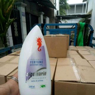 sữa tắm cá ngựa