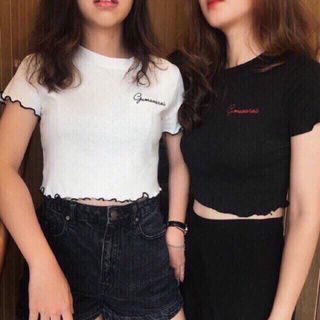 Áo croptop cuốn biên chữ thuê giá sỉ