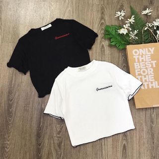 Áo croptop cuốn biên chữ thuê