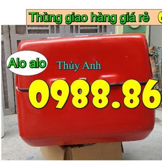 Thùng chở Pizza thùng thực phẩm thùng đồ ăn nhanh thùng cơm văn phòng giá sỉ