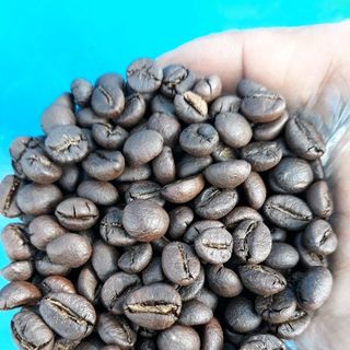 Cà phê hạt sỉ