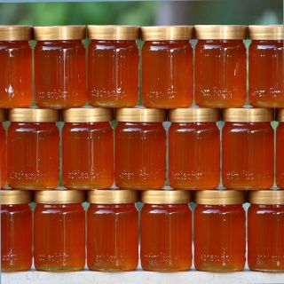 Mật Ong Cao Cấp Giá Sỉ O Naturals Honey