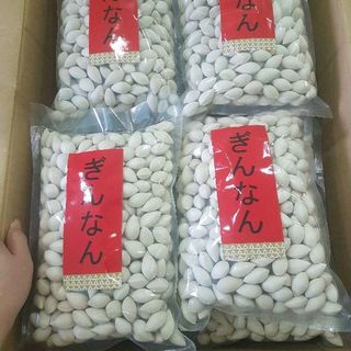 Bạch quả Nhật Bản