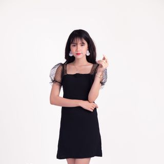 Đầm bánh bèo phối ren bi ngắn