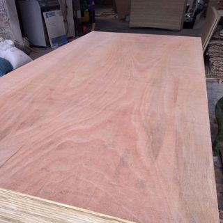 Ván ép plywood lvl flim faced giá sỉ