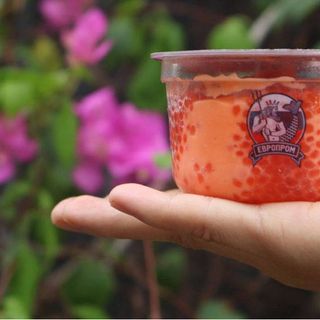 Trứng cá hồi phomai