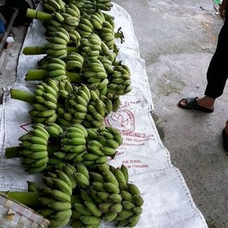 chuối xiêm