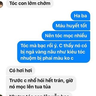 HÀ THỦ Ô ĐỎ PHẠM GIA GOLD 3 - Đen tóc - Đẹp da - Tăng cường sinh lý